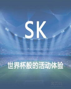 大型公關活動策劃 從藍圖到輝煌